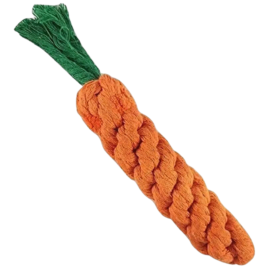 carrot toy for dogs