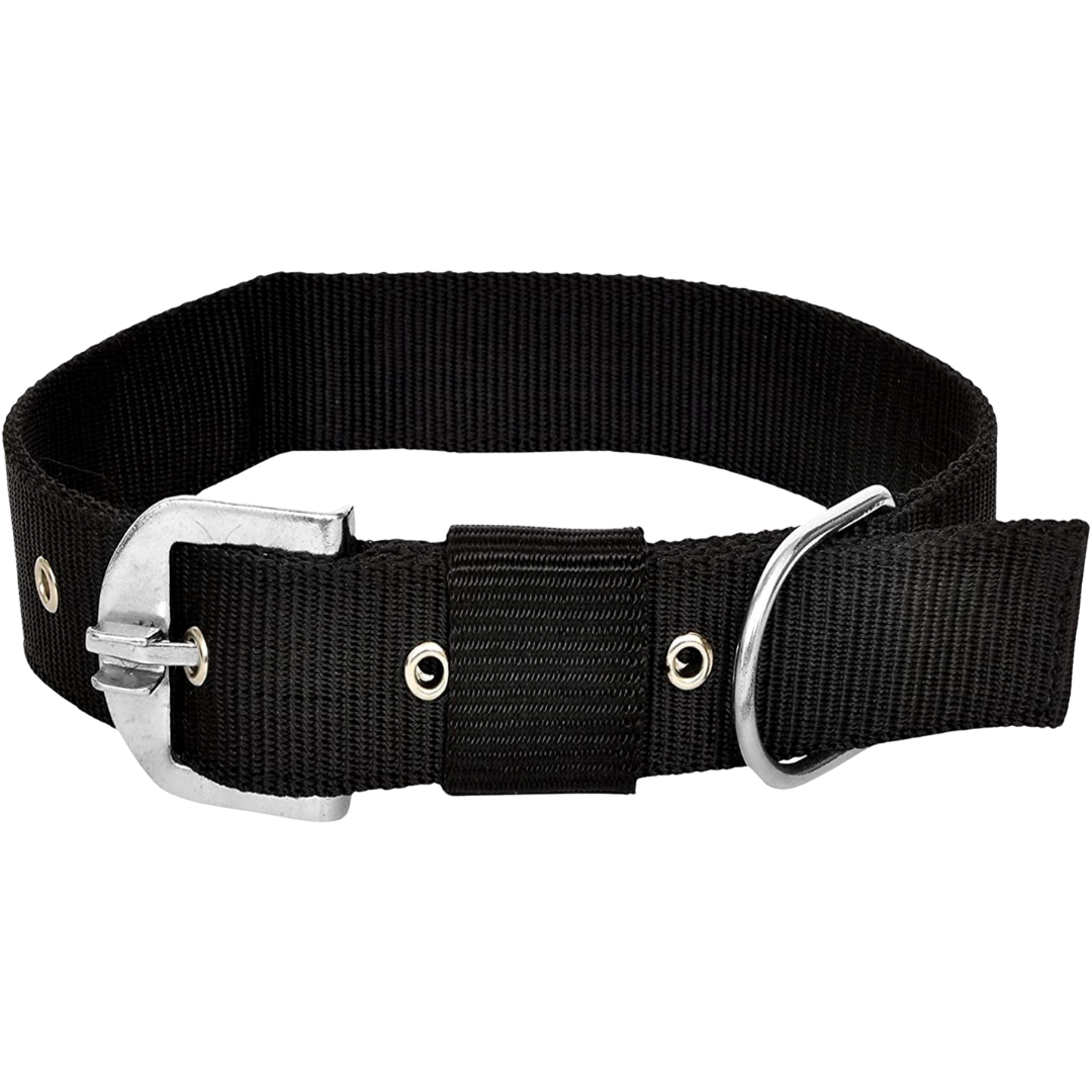 1 Inch Pet Collar - Style and Comfort for Your Furry Friend