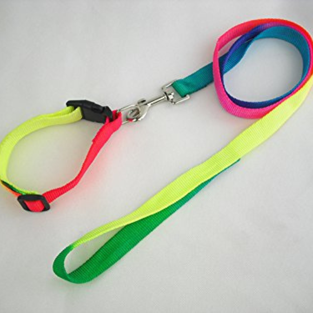 Nylon Rainbow Color Collar Set for Small Dogs and Puppies