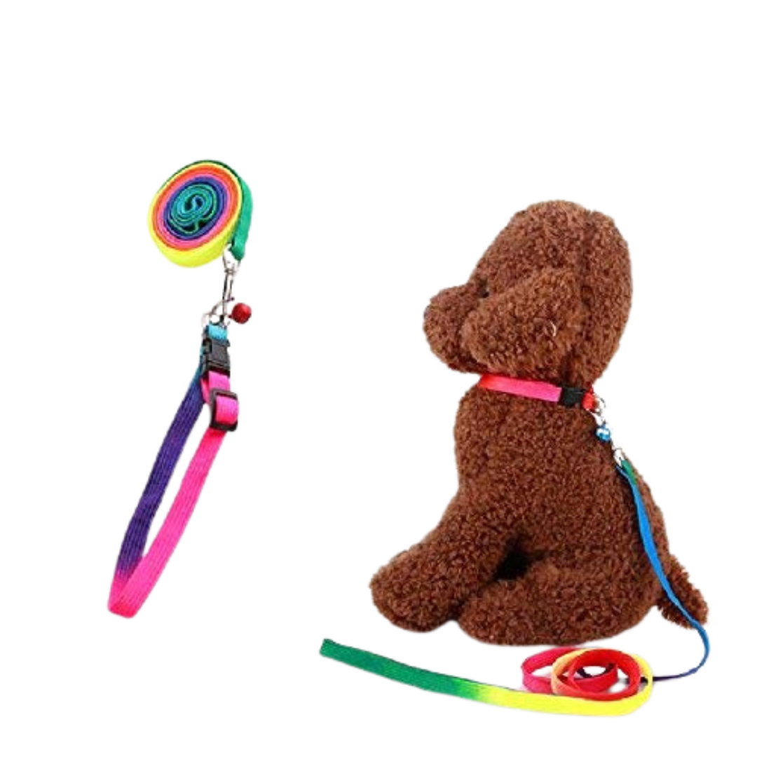 Nylon Rainbow Color Collar Set for Small Dogs and Puppies with Leash