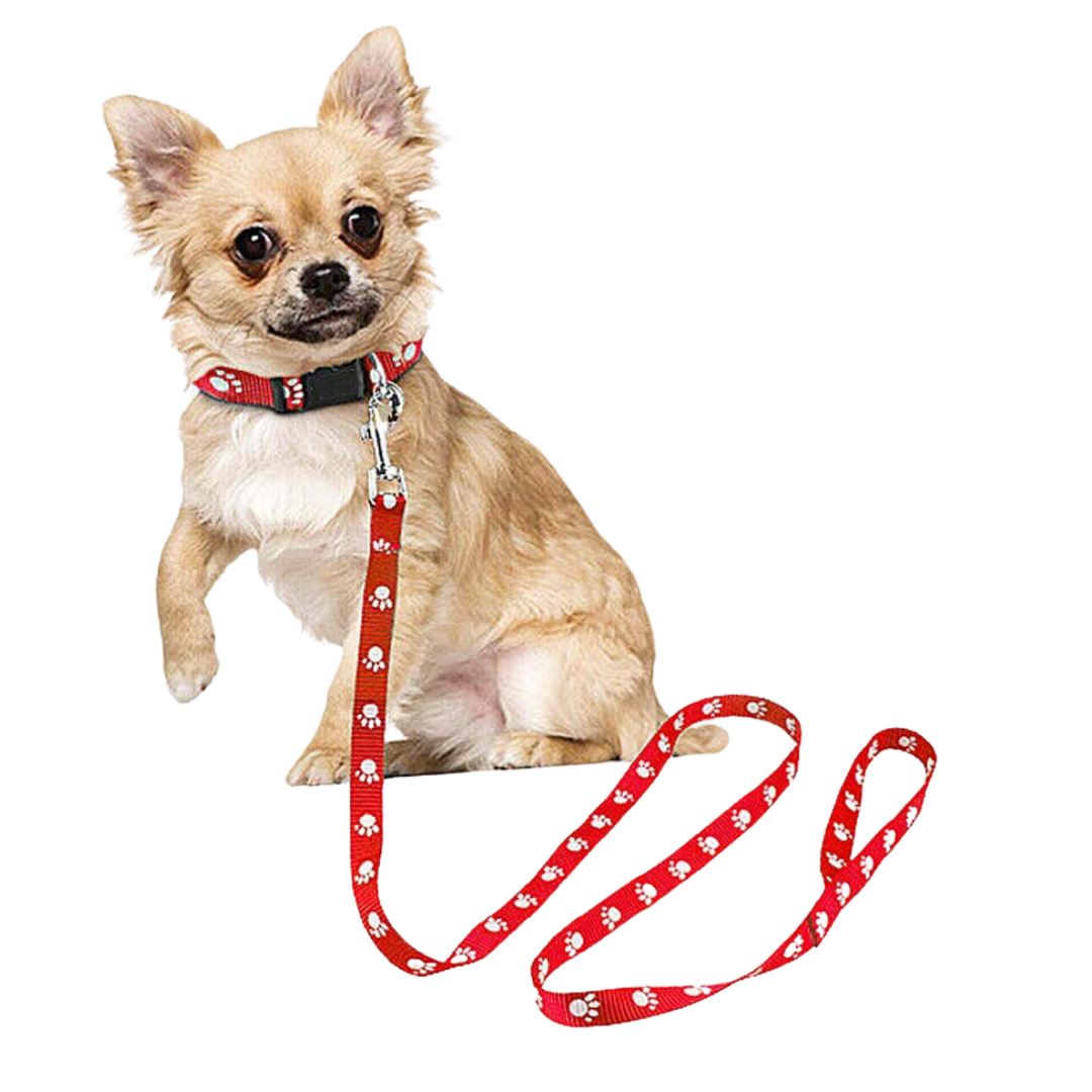 Paw Print Puppy Collar & Leash Set for Small Dogs & Puppy, Walk in Style: Explore Our Pet Walking Accessories Collection - PawPea