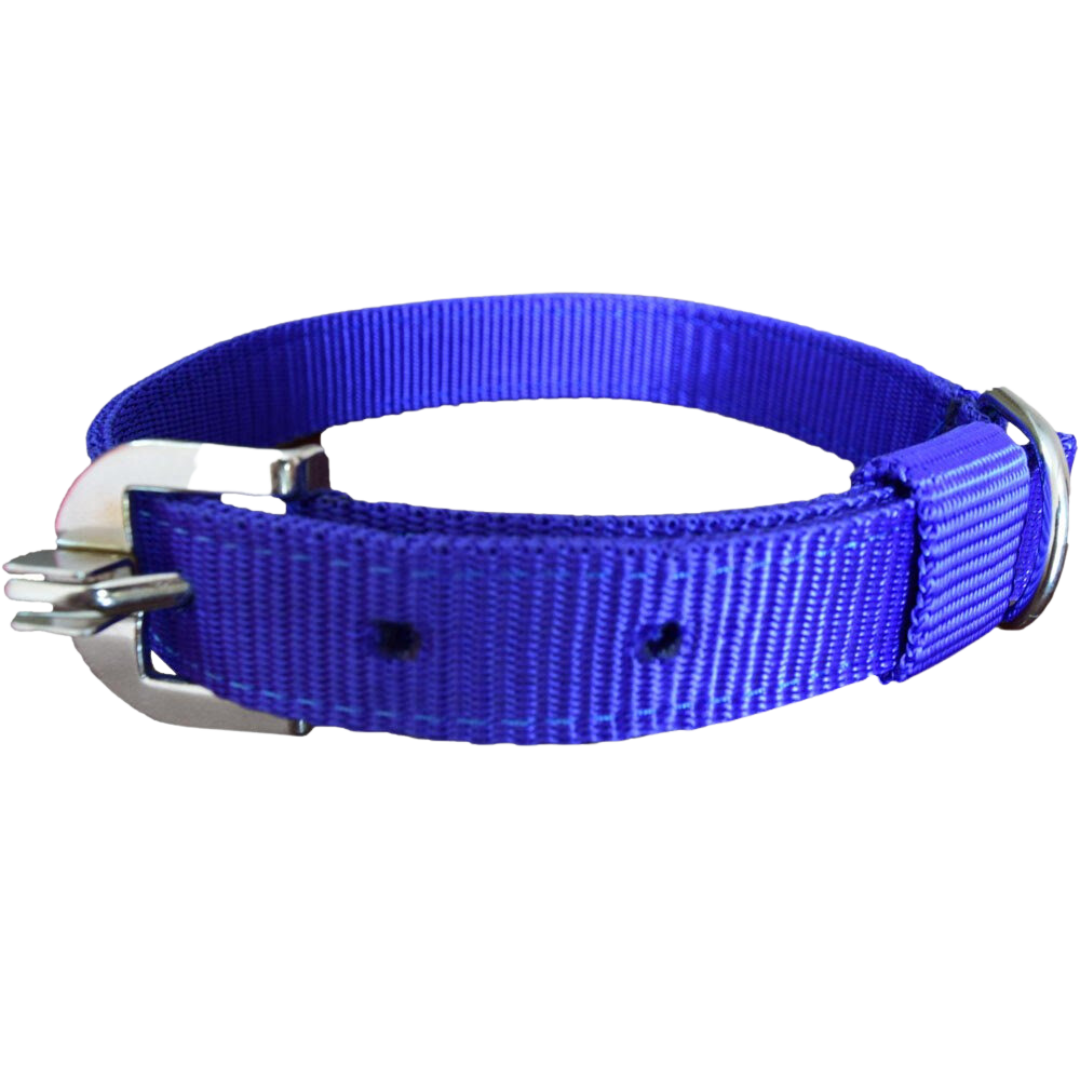 Nylon Plain Everyday Collar, 1 Inch Pet Collar - Style and Comfort for Your Furry Friend