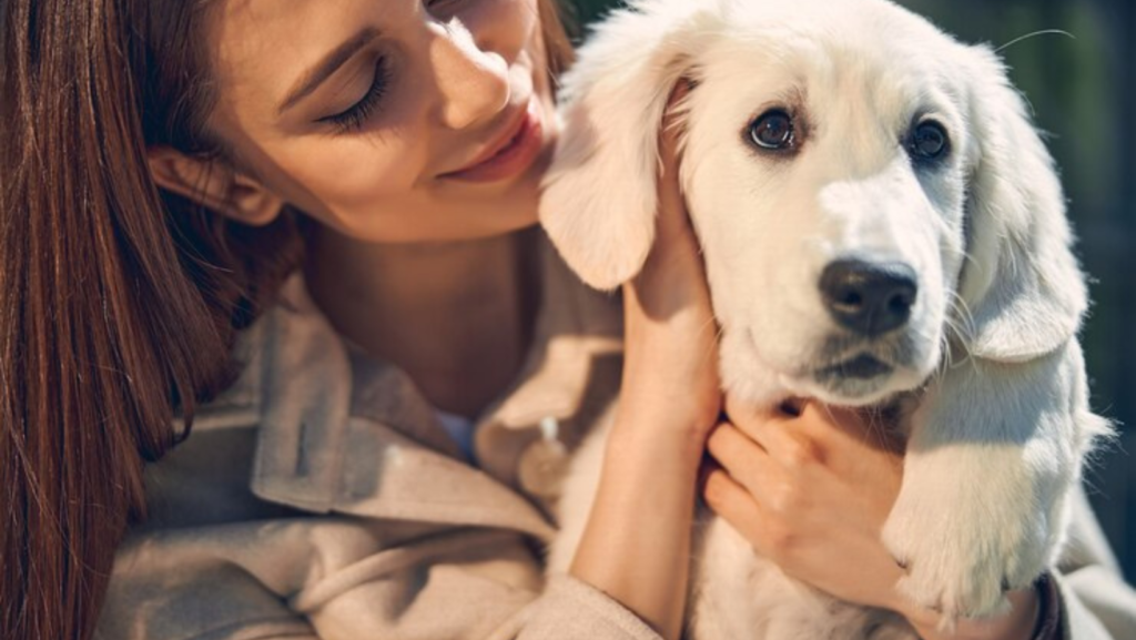 Find Your New Best Friend: Exploring Pet Adoption Agencies