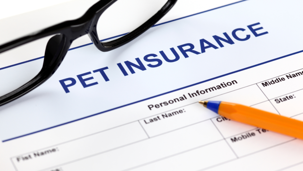 Comparing the Top Pet Insurance Providers in India: A Comprehensive Review