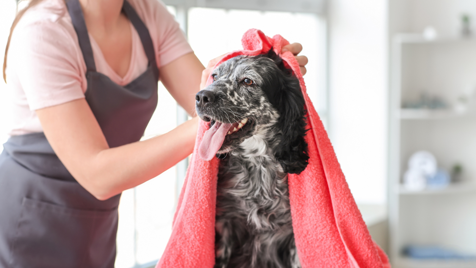The Importance of Proper Pet Hygiene: Tips and Products