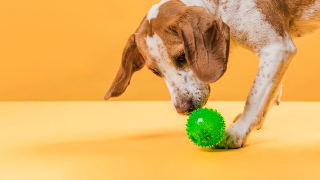 Popular Pet Toys: Keeping Your Furry Friends Happy and Engaged