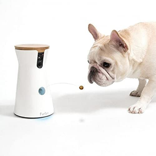 7 Innovative Pet Tech Gadgets Every Owner Needs