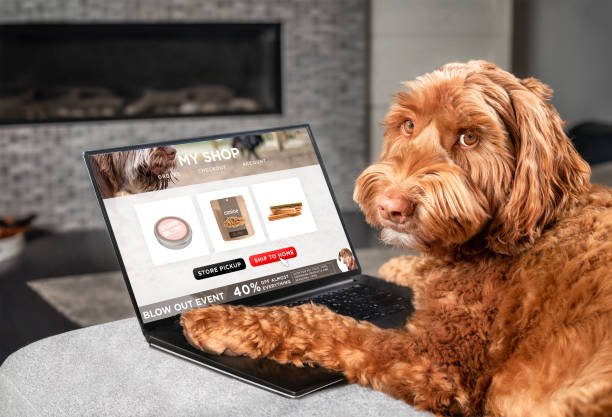 The Ultimate Convenience: Pet Food Delivery Revolutionizing Pet Ownership