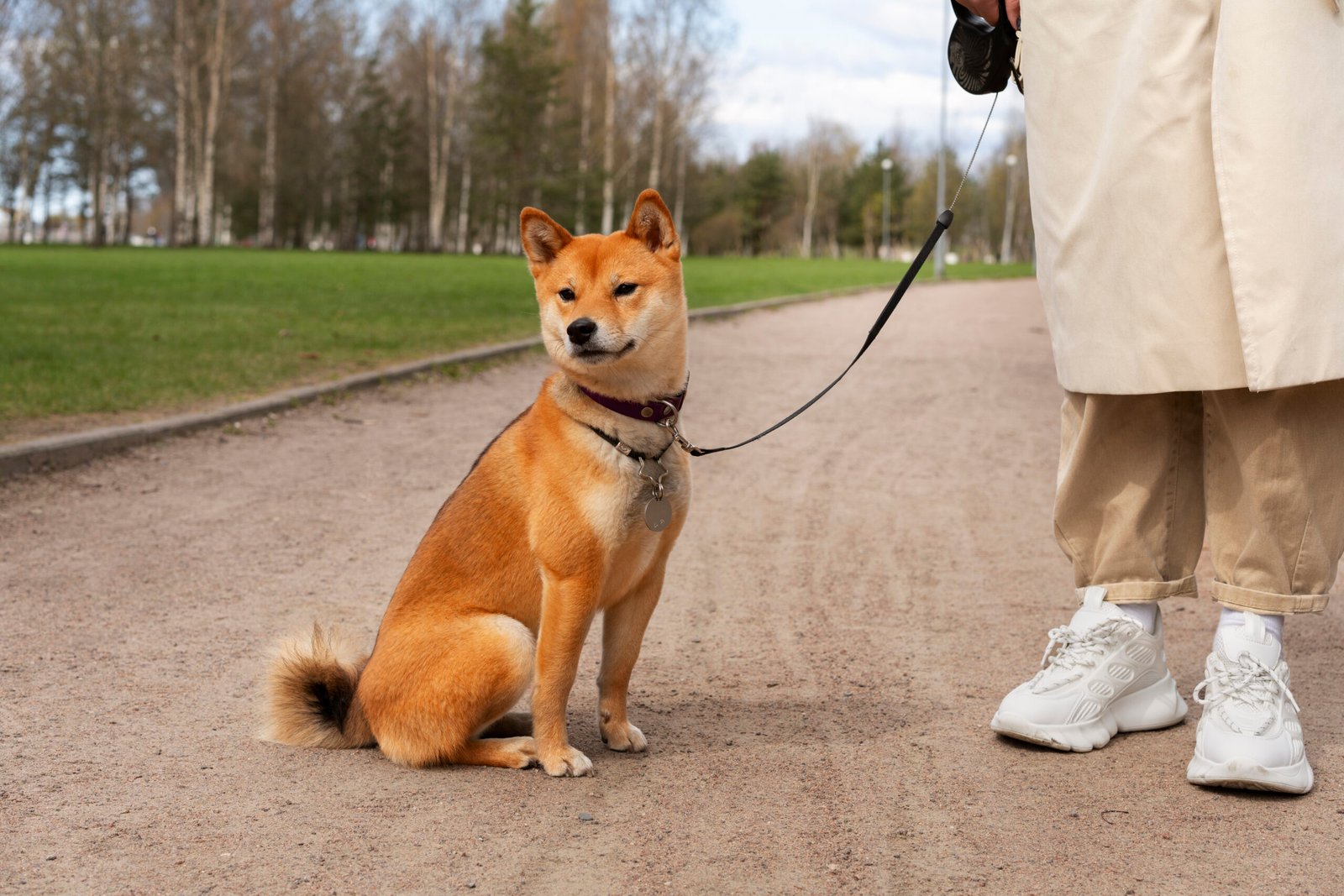 Tips for Leash Walking Your Dog
