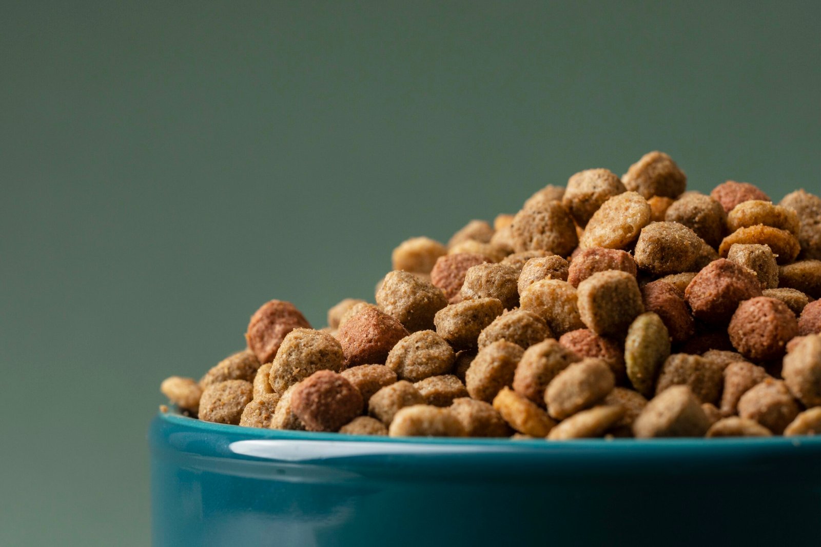 How to Choose the Right Dog Food: A Comprehensive Guide