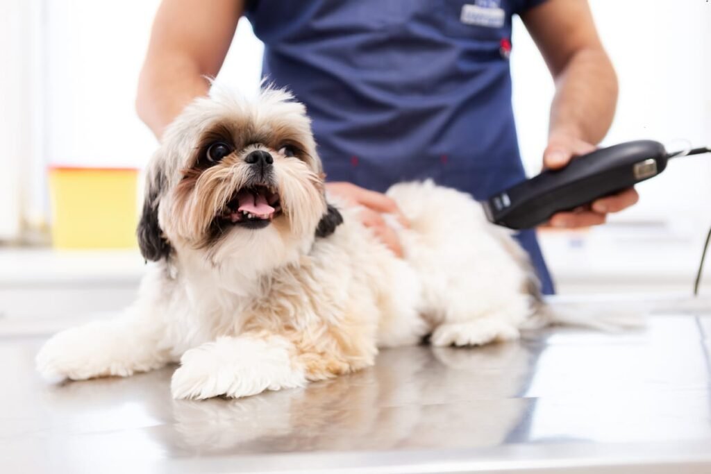 Mastering Pet Grooming: The Ultimate Guide to Top Pet Grooming Tools