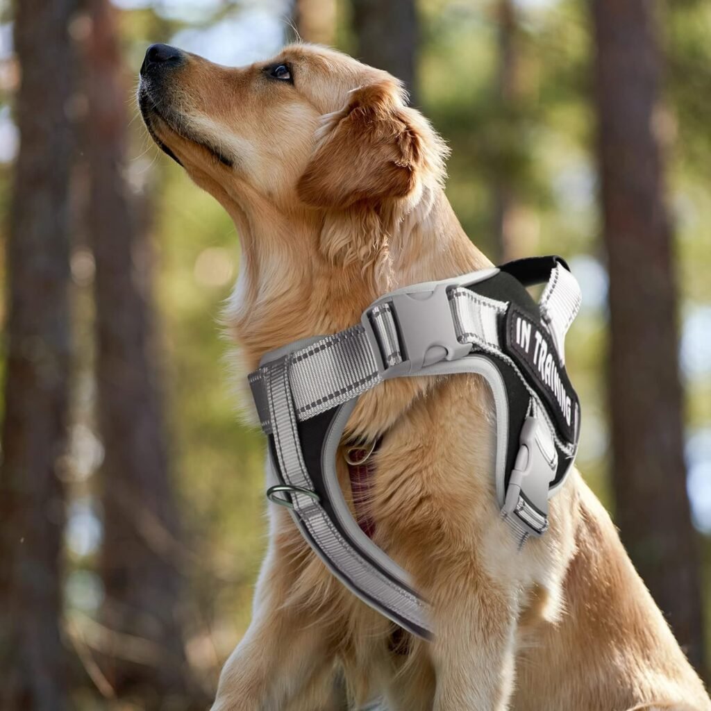 Adjustable Dogs Harness