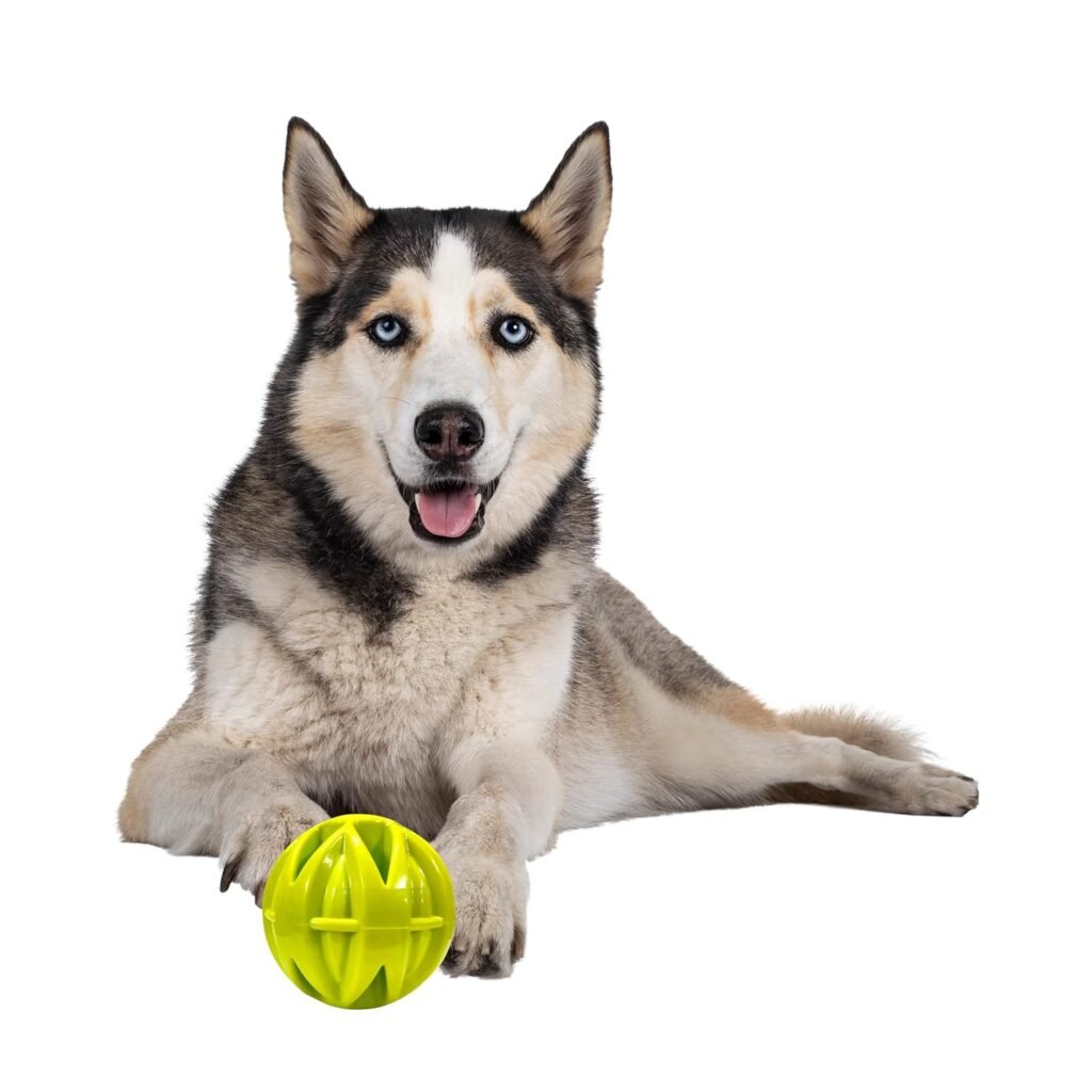Discover the Ultimate Natural Rubber Ball Toy for Aggressive Chewers