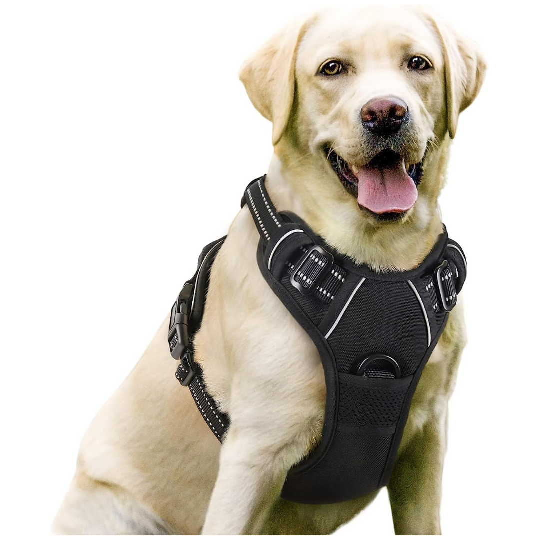 Pawpea Adjustable Dog Harness