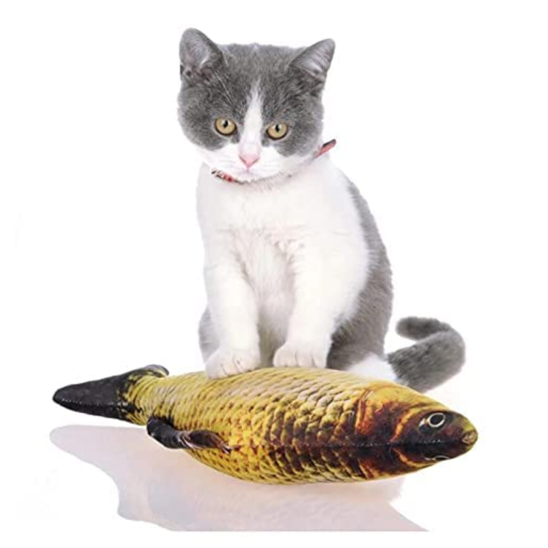 Catnip Mint Simulation Fish Interactive Kitten Toy