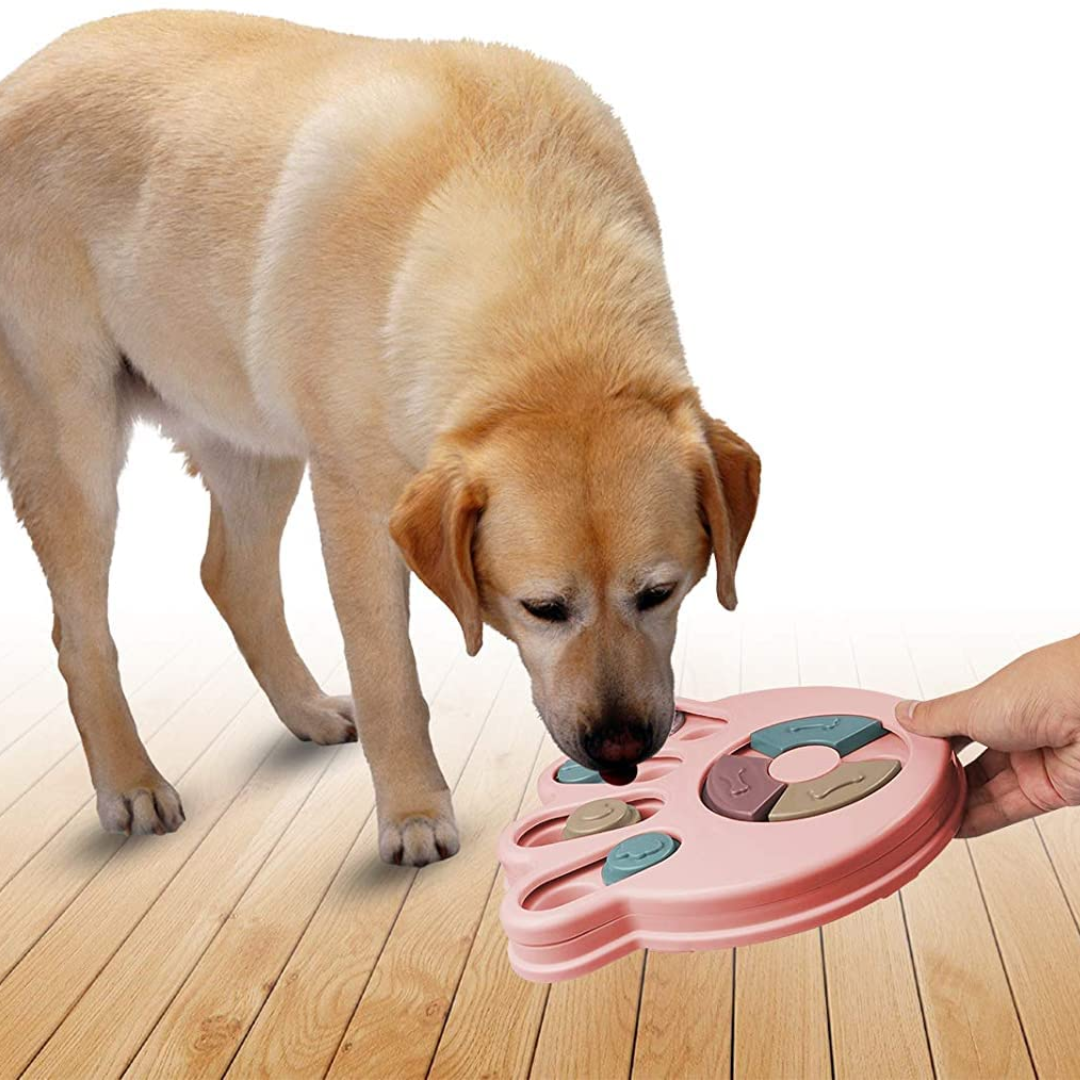 Pet Puzzle Toy for Dispensing Treats
