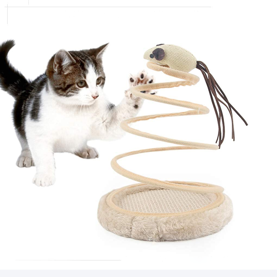 Interactive Stainless Steel Cat Toy
