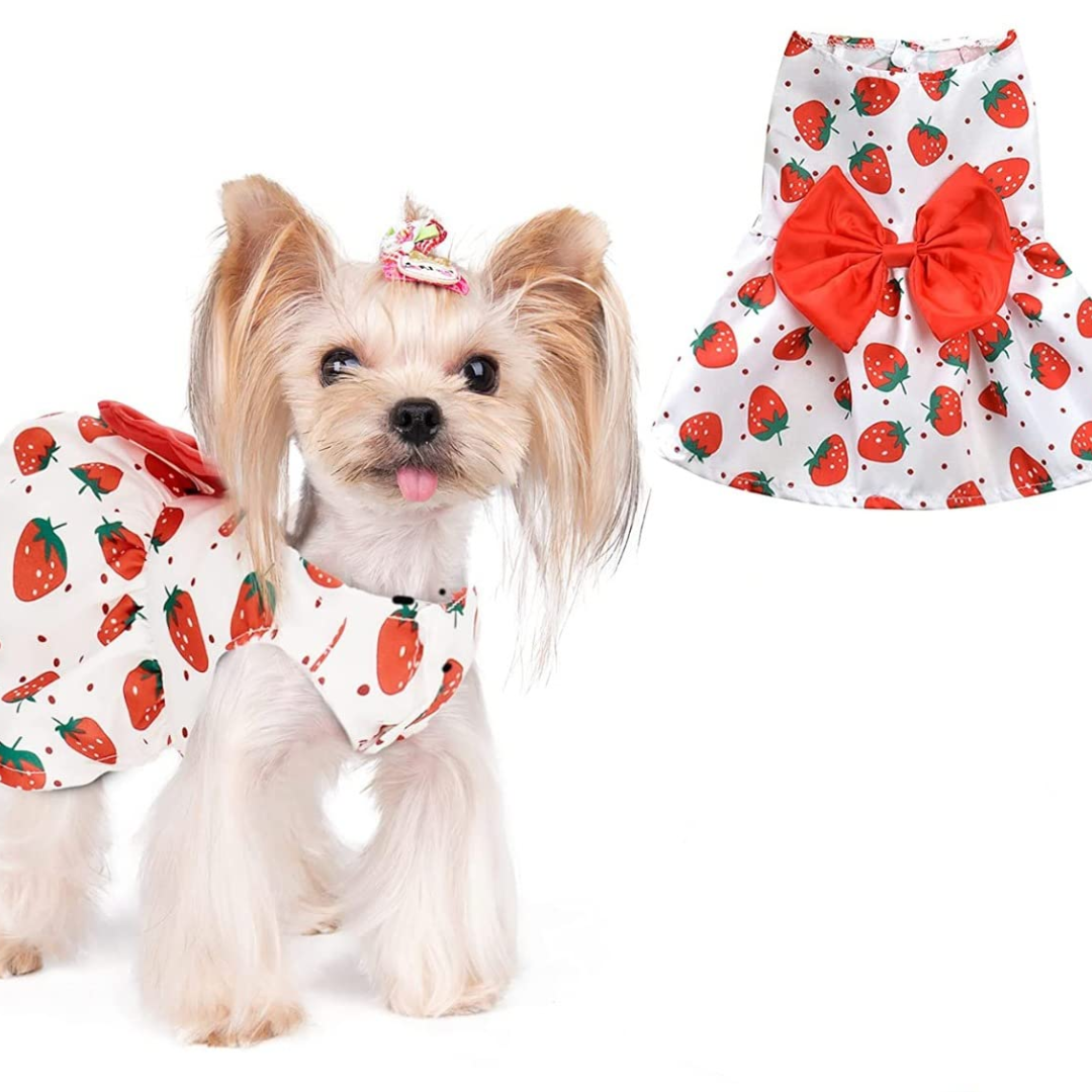 Daisy Pattern Dog Dress