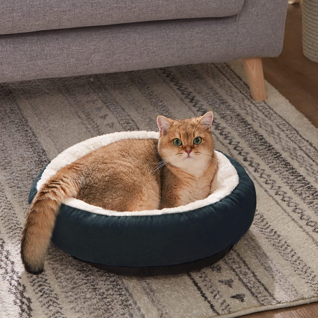 Round Cat Bed for Indoor Cats