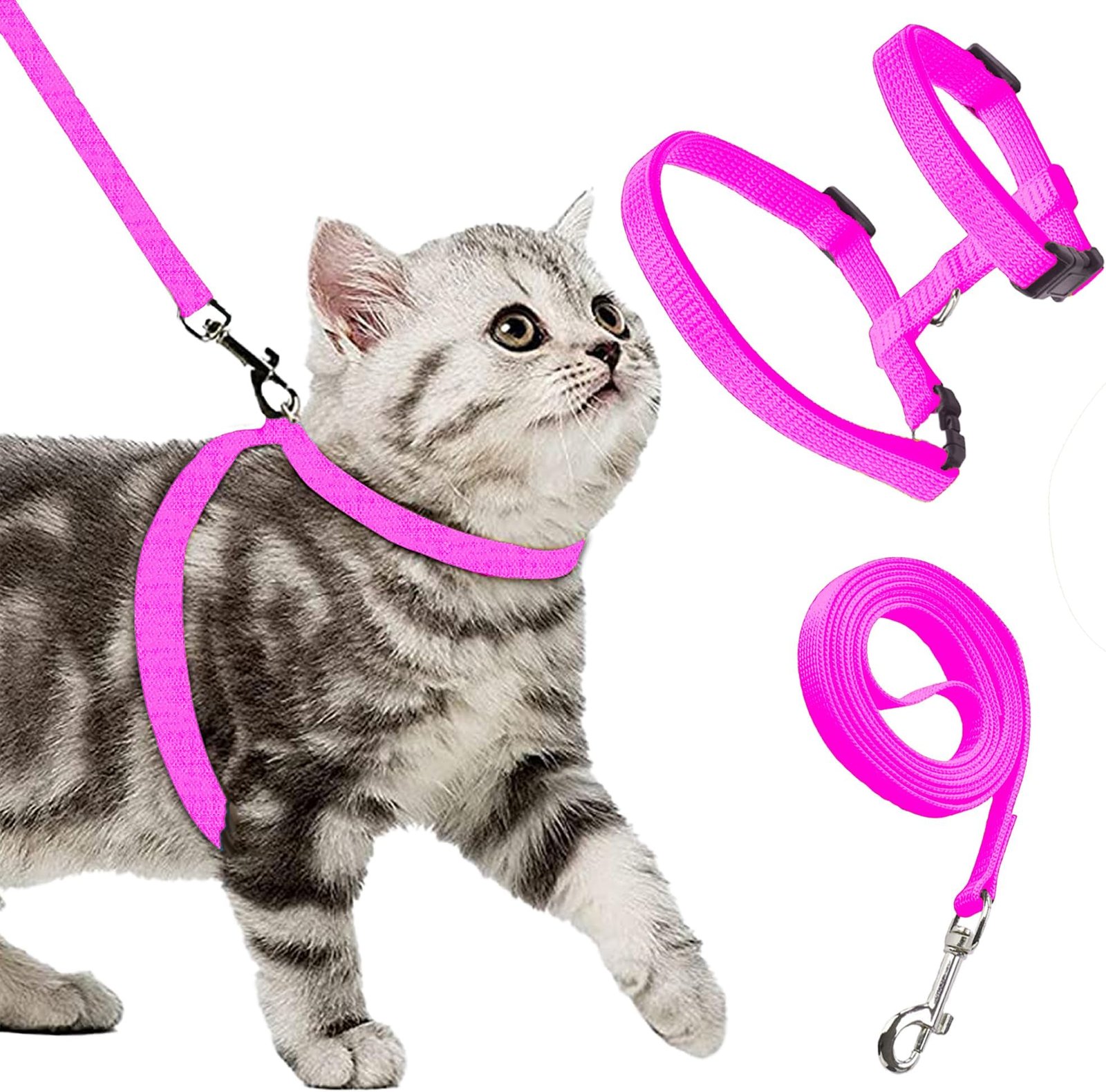 Discover the Perfect Cat Harness with Leash Set for Safe Outdoor Adventures