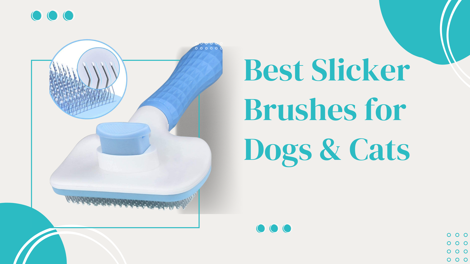Best Slicker Brushes for Dogs & Cats – Top Picks 2024 | Pawpea.com