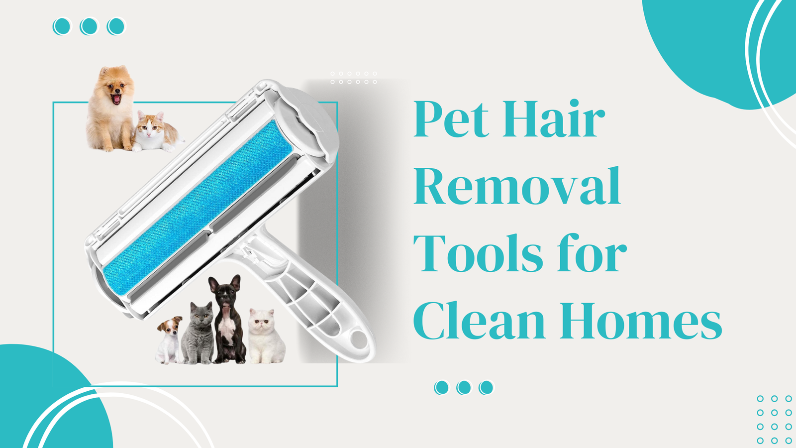 Efficient Pet Hair Removal Tools for Clean Homes | Pawpea.com