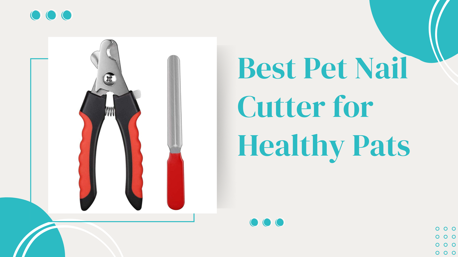 Essential Grooming: The Best Pet Nail Cutter for Healthy Paws