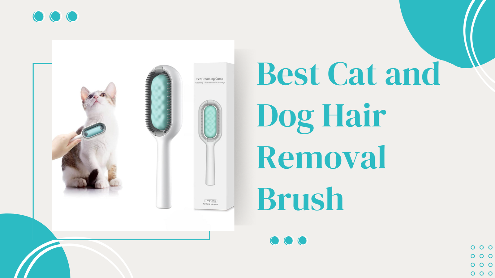 Best Cat and Dog Hair Removal Brush