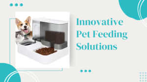 Streamline Your Pet Care: Innovative Pet Feeding Solutions from PawPea