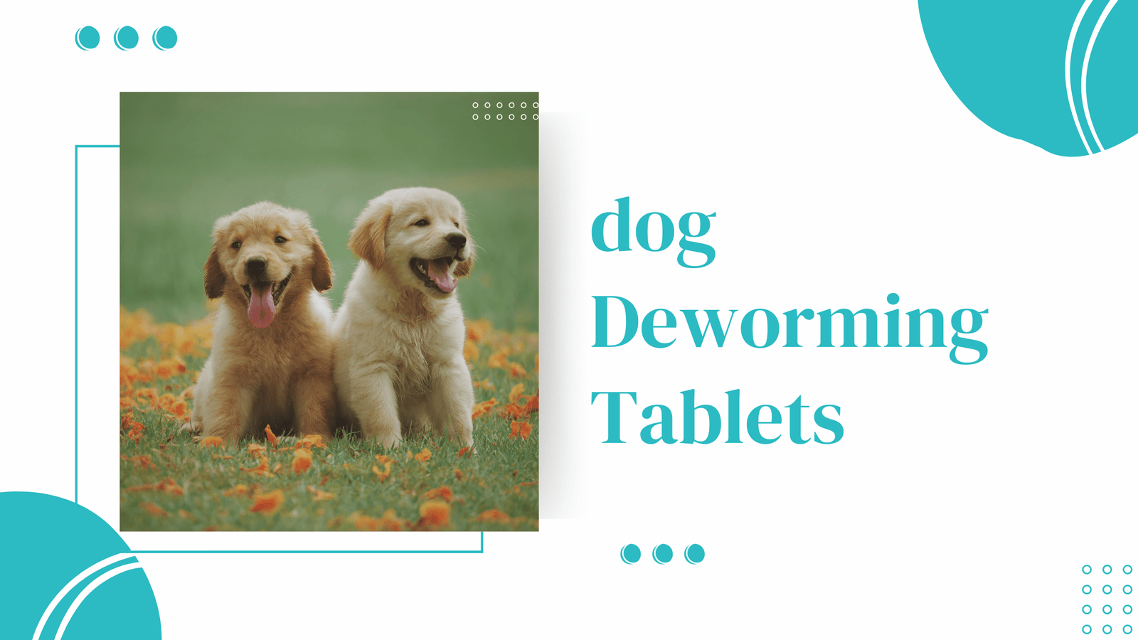 dog Deworming Tablets