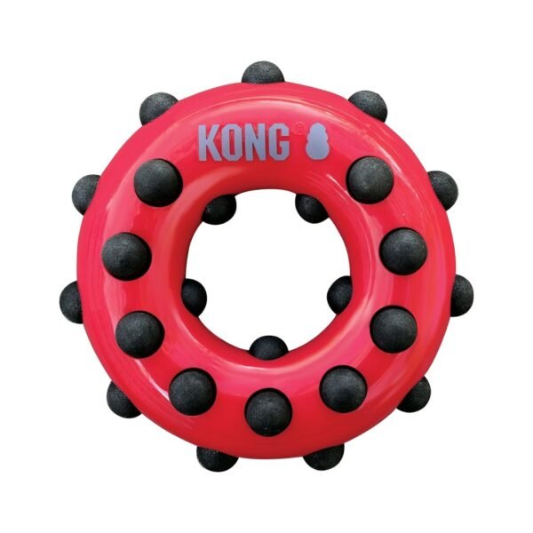 KONG Dotz Circle Dog Toy