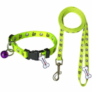 Radium Dog Rope Leash