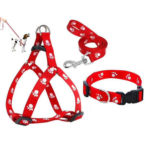 Print Puppy Collar & Leash Set