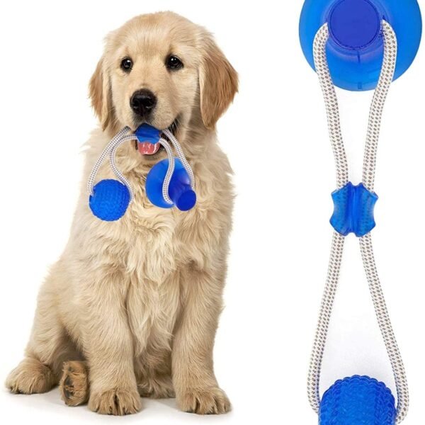 Suction Cup Dog Toy