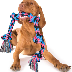 Tug of War Toys for Dogs | Molar Bite Chewing Fun