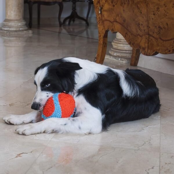 Chuckit! Indoor Fumbler Dog Toy - Image 2