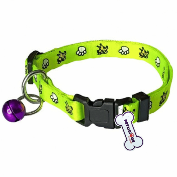 Radium Dog Rope Leash