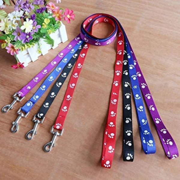 Print Puppy Collar & Leash Set