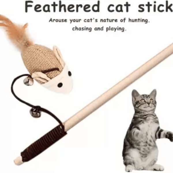 Cat Teaser Playing Stick