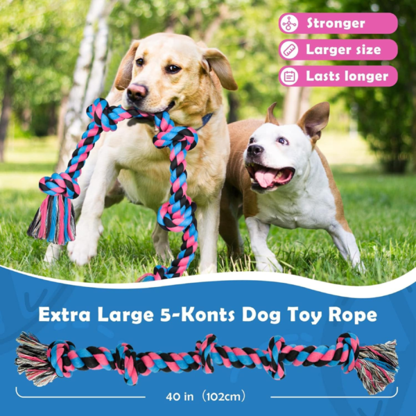 Tug of War Toys for Dogs | Molar Bite Chewing Fun