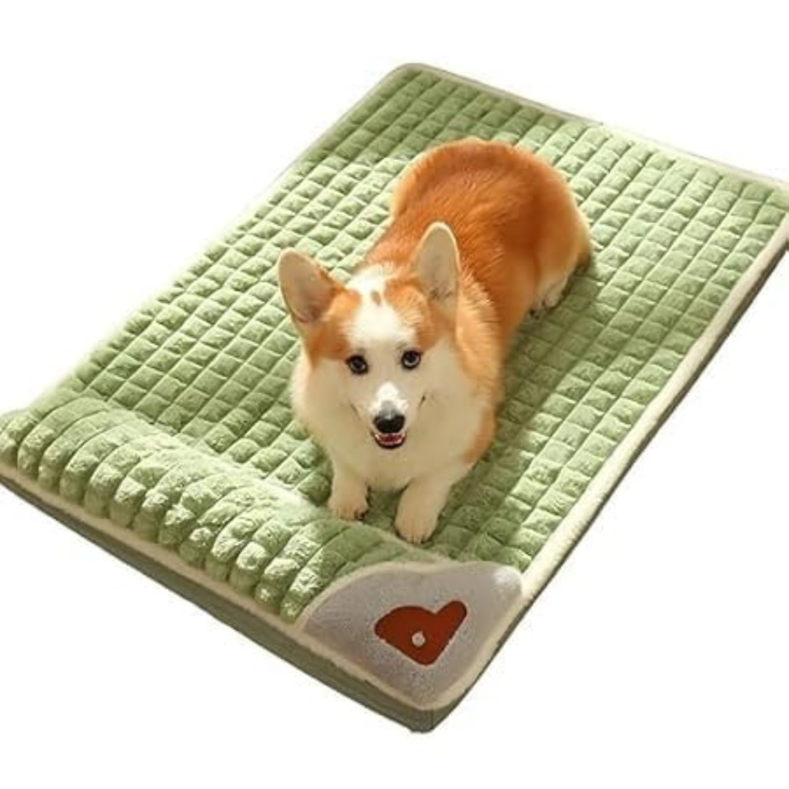 Orthopedic Dog Bed with Pillow