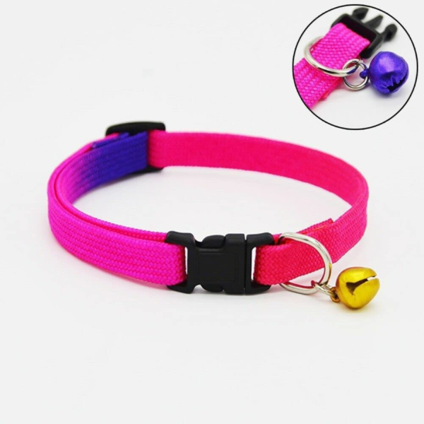 Rainbow Color Collar