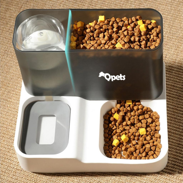 2 in 1 Automatic Food Feeder