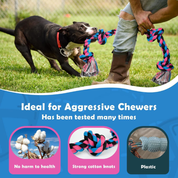 Tug of War Toys for Dogs | Molar Bite Chewing Fun