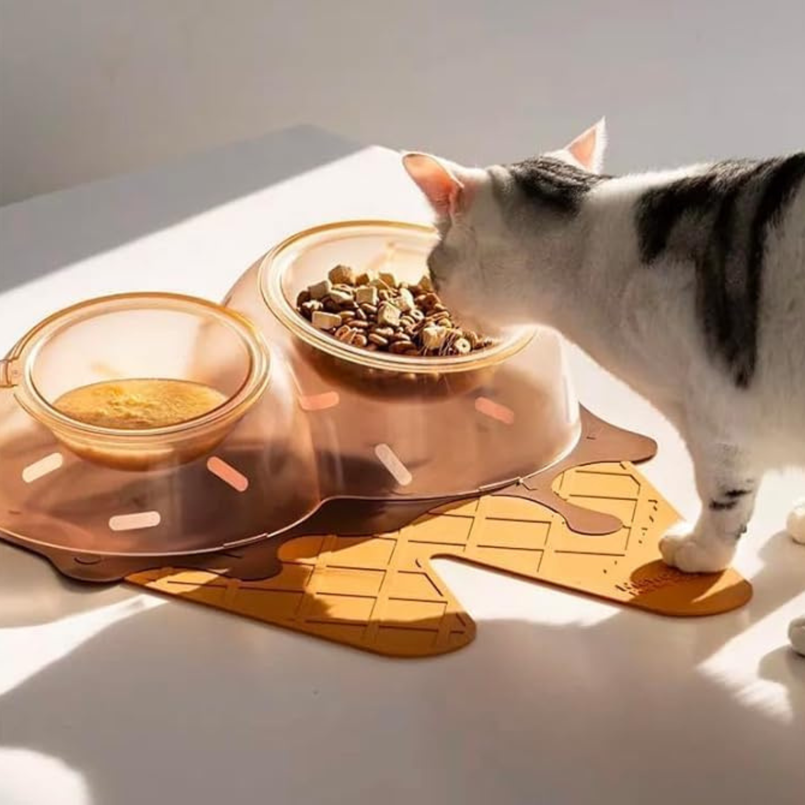 Ice Cream Planet Double Pet Bowl