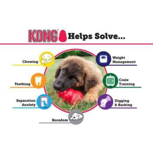 KONG Classic Dog Toy - Large - Image 3