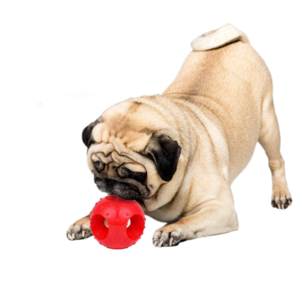 Rubber Hole Ball Chew Toy