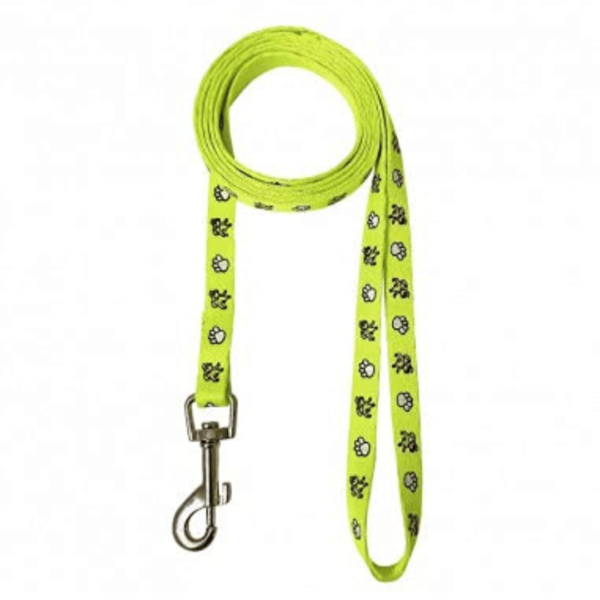 Radium Dog Rope Leash