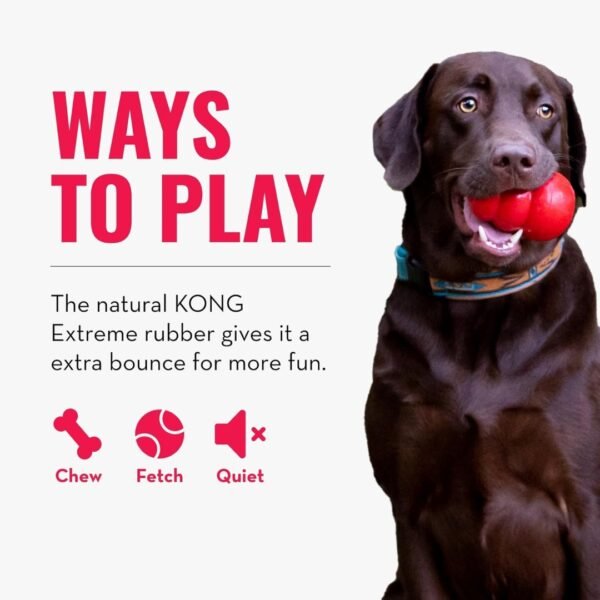 KONG Extreme Ball - Small - Image 4