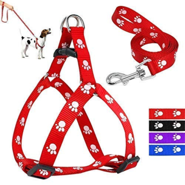 Print Puppy Collar & Leash Set